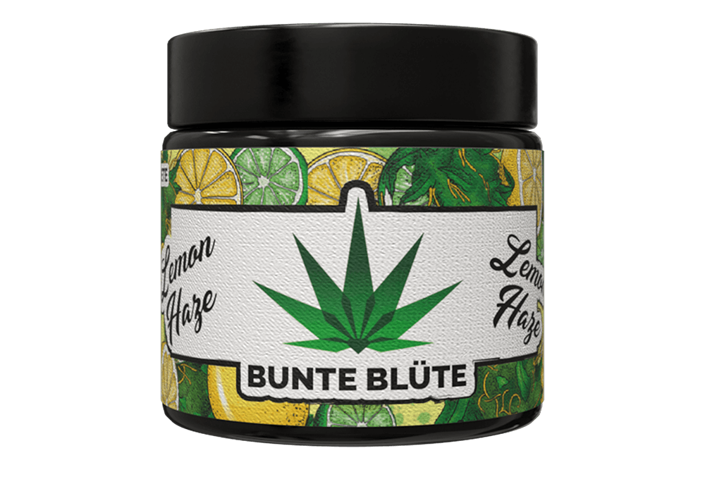 bunte-bluete-cbd-cannabis-lemon-haze-glas