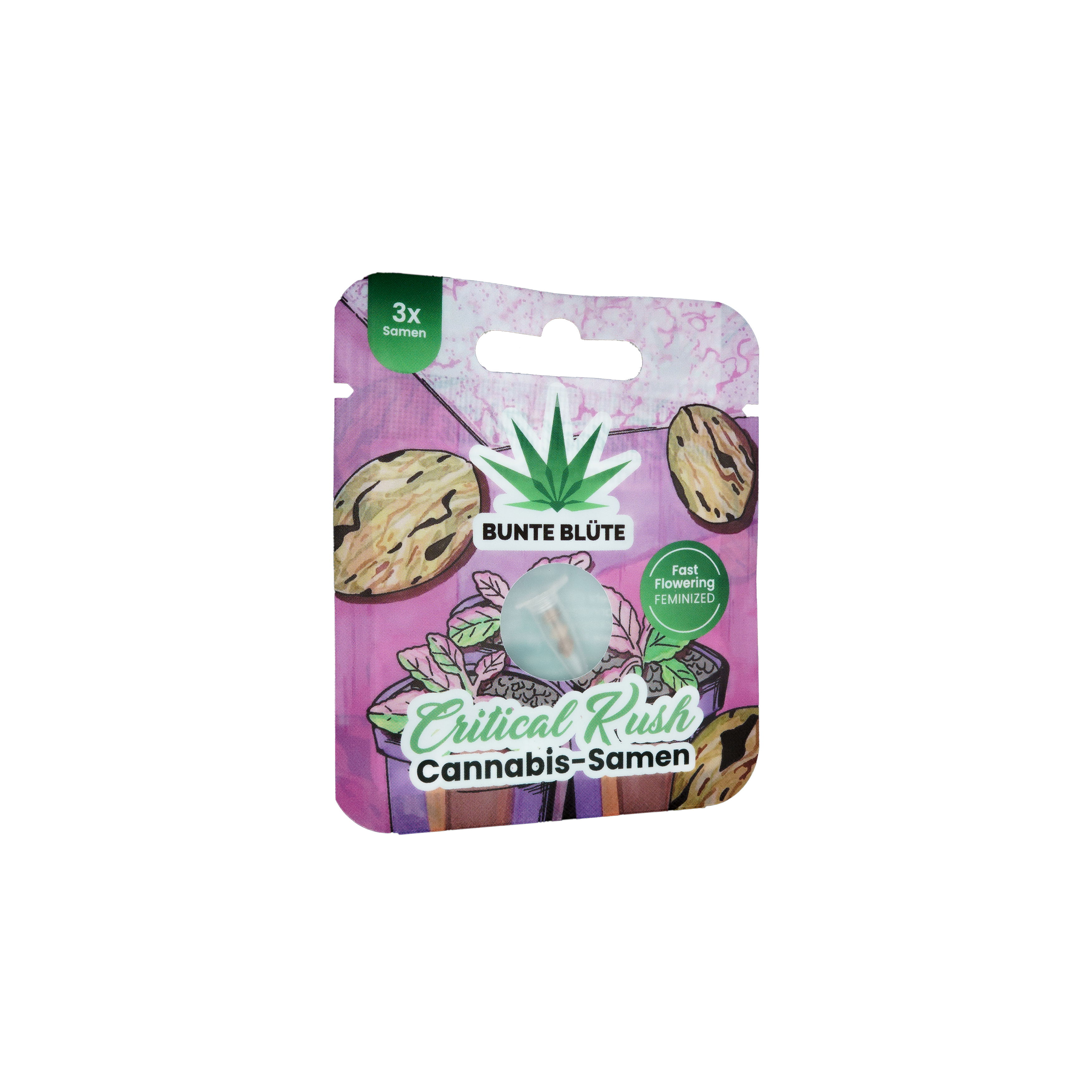Cannabis Samen Fast-Flowering