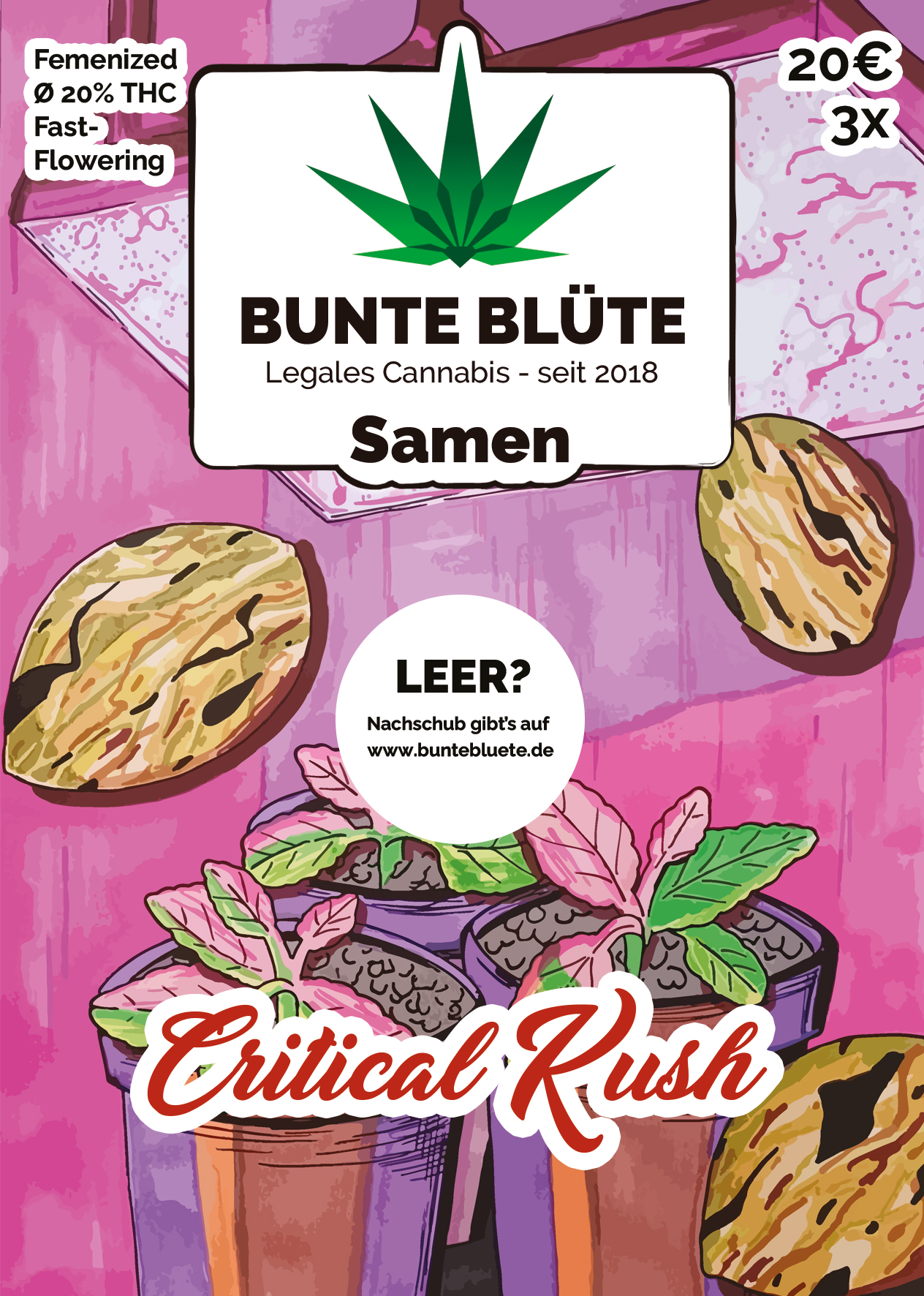 Bunte Blüte Cannabis Samen Fast-Flowering