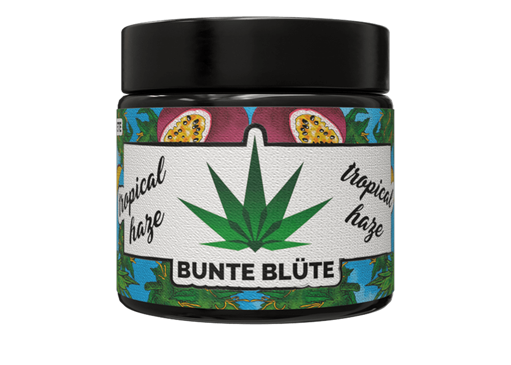 bunte-bluete-cbd-cannabis-tropical-haze-glas